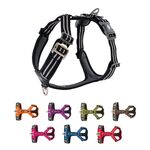 DOG Copenhagen Comfort Walk Air™ selen | Step in