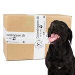 Large Breed Surprise Box z1