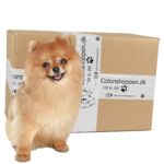 Small Breed Surprise Box z1