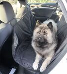 Ollipet Bilsædebeskytter