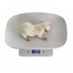 Hvalpevægt Digital| Max 5 kg