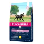 Eukanuba Puppy | Large Breed Chicken