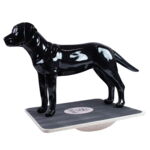 Ollipet DogFit | Firkantet Balancebræt