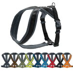 Hunter London Comfort Sele