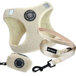 Ollipet Teddy Sæt | Creme Z1