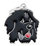 My Family | Hundetegn Newfoundland