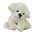 Coton de Tulear /Bichon Frise bamse/Ollie